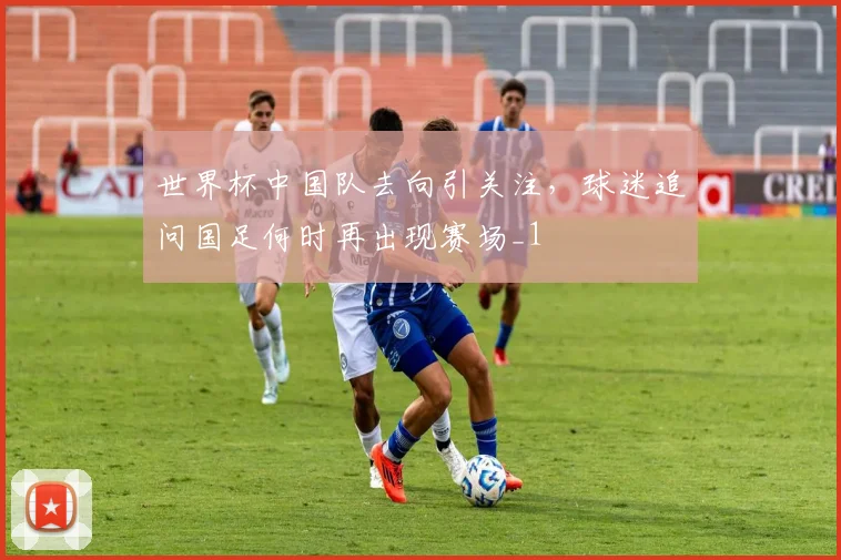 世界杯中国队去向引关注，球迷追问国足何时再出现赛场_1