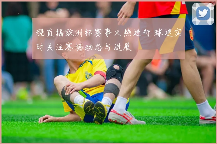 现直播欧洲杯赛事火热进行 球迷实时关注赛场动态与进展